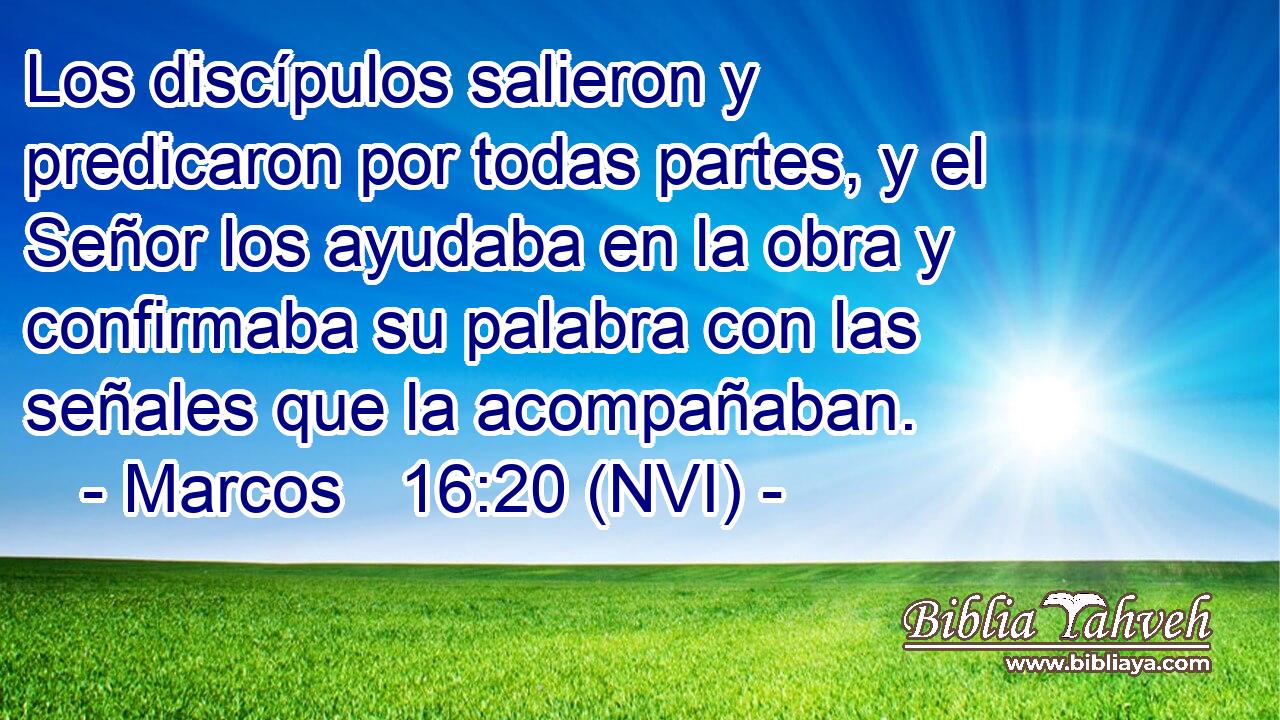  Los discípulos salieron y predicaron por todas partes, y el Señor los ayudaba en la obra y confirmaba su palabra con las señales que la acompañaban. 