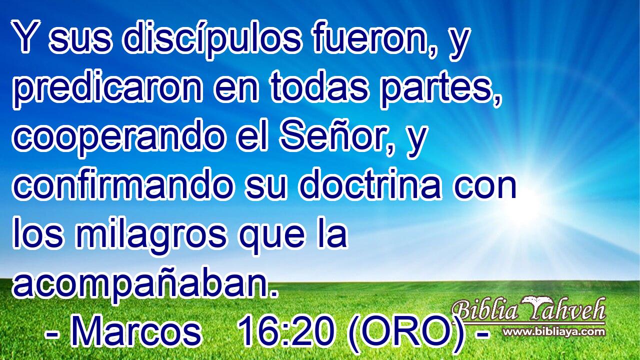  Y sus discípulos fueron, y predicaron en todas partes, cooperando el Señor, y confirmando su doctrina con los milagros que la acompañaban. 