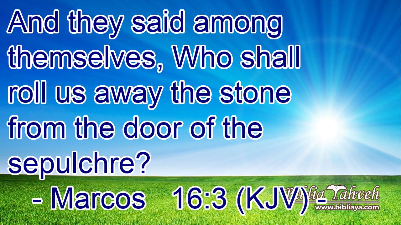 And they said among themselves, Who shall roll us away the stone from the door of the sepulchre?