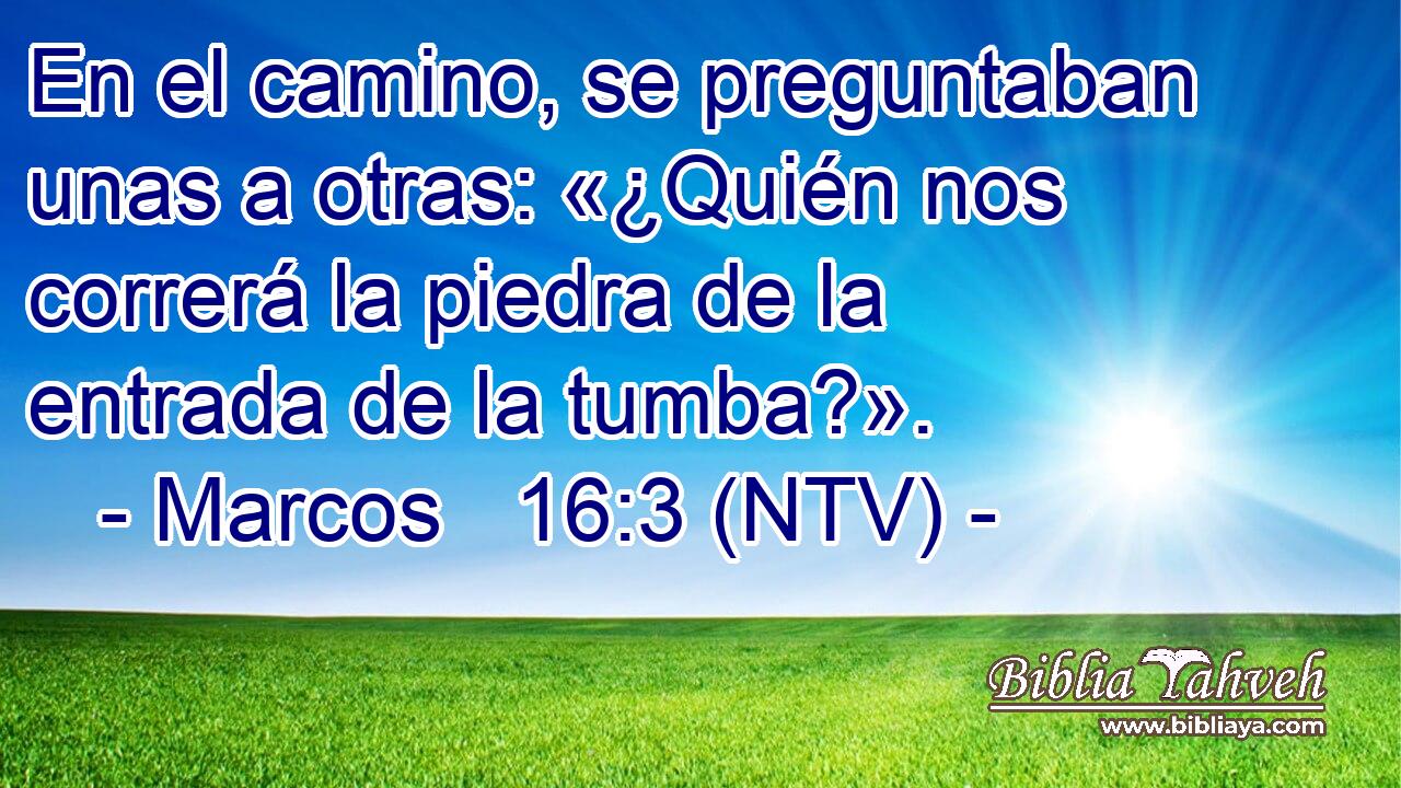 En el camino, se preguntaban unas a otras: «¿Quién nos correrá la piedra de la entrada de la tumba?».