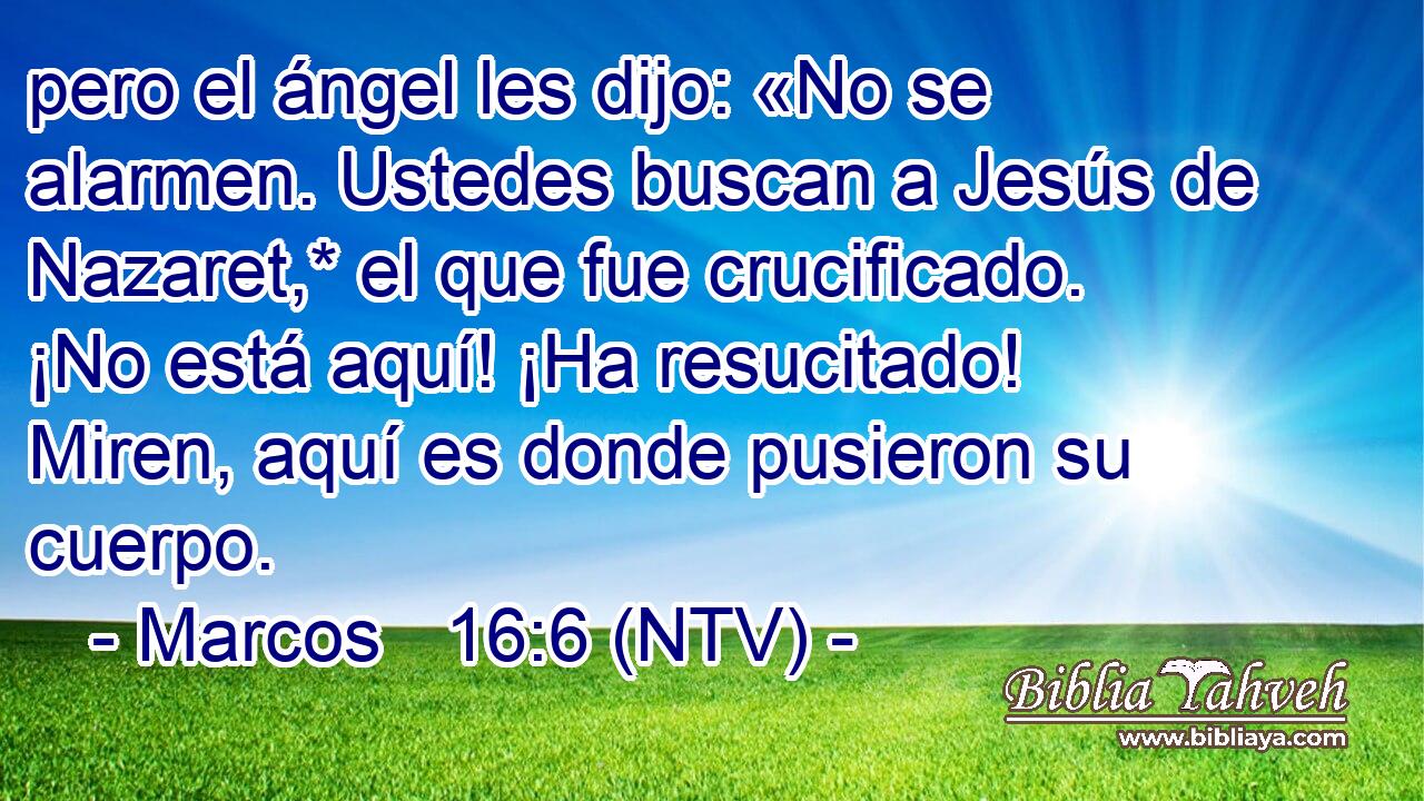 pero el ángel les dijo: «No se alarmen. Ustedes buscan a Jesús de Nazaret,* el que fue crucificado. ¡No está aquí! ¡Ha resucitado! Miren, aquí es donde pusieron su cuerpo.