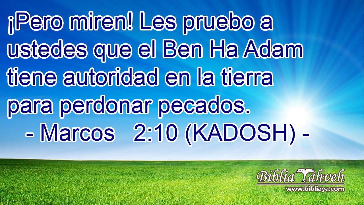  ¡Pero miren! Les pruebo a ustedes que el Ben Ha Adam tiene autoridad en la tierra para perdonar pecados. 