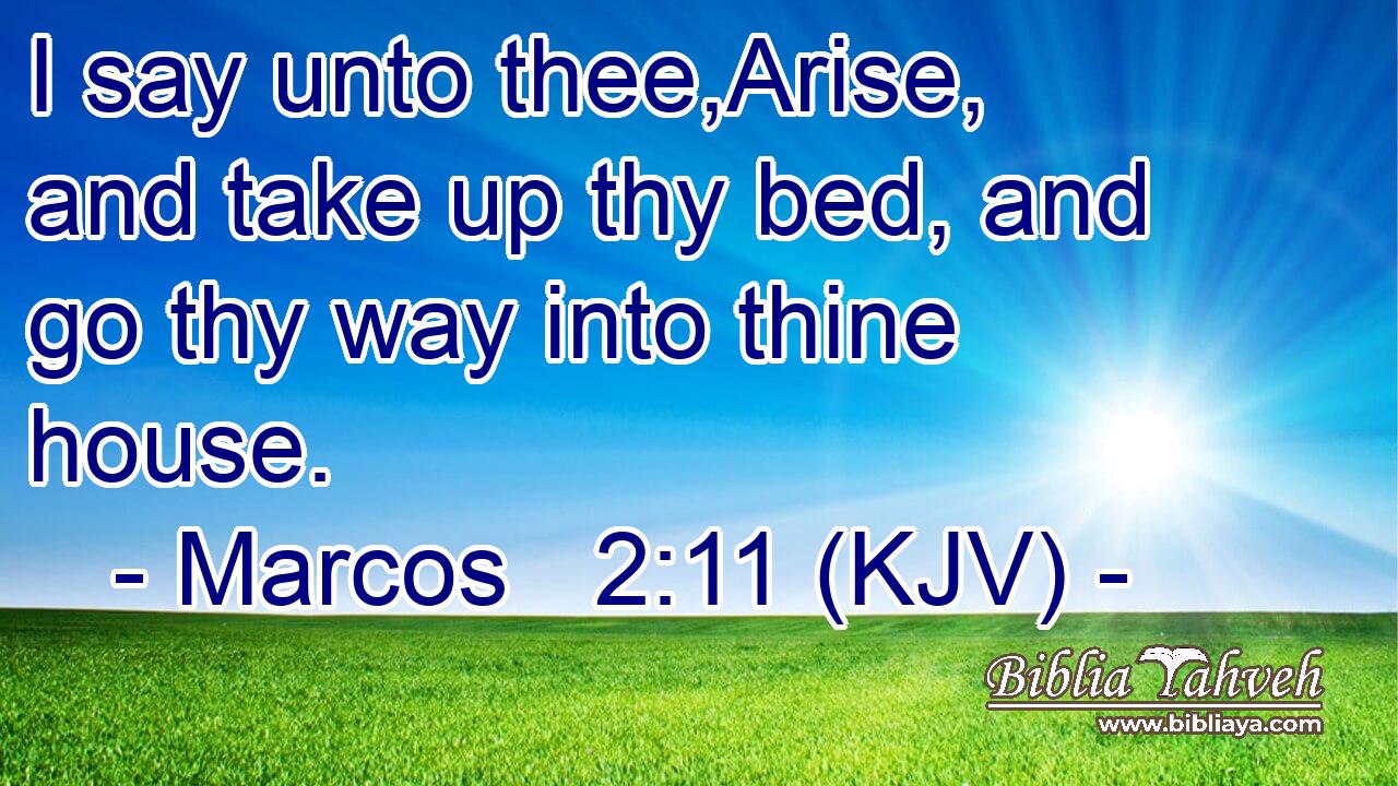 I say unto thee,Arise, and take up thy bed, and go thy way into thine house.