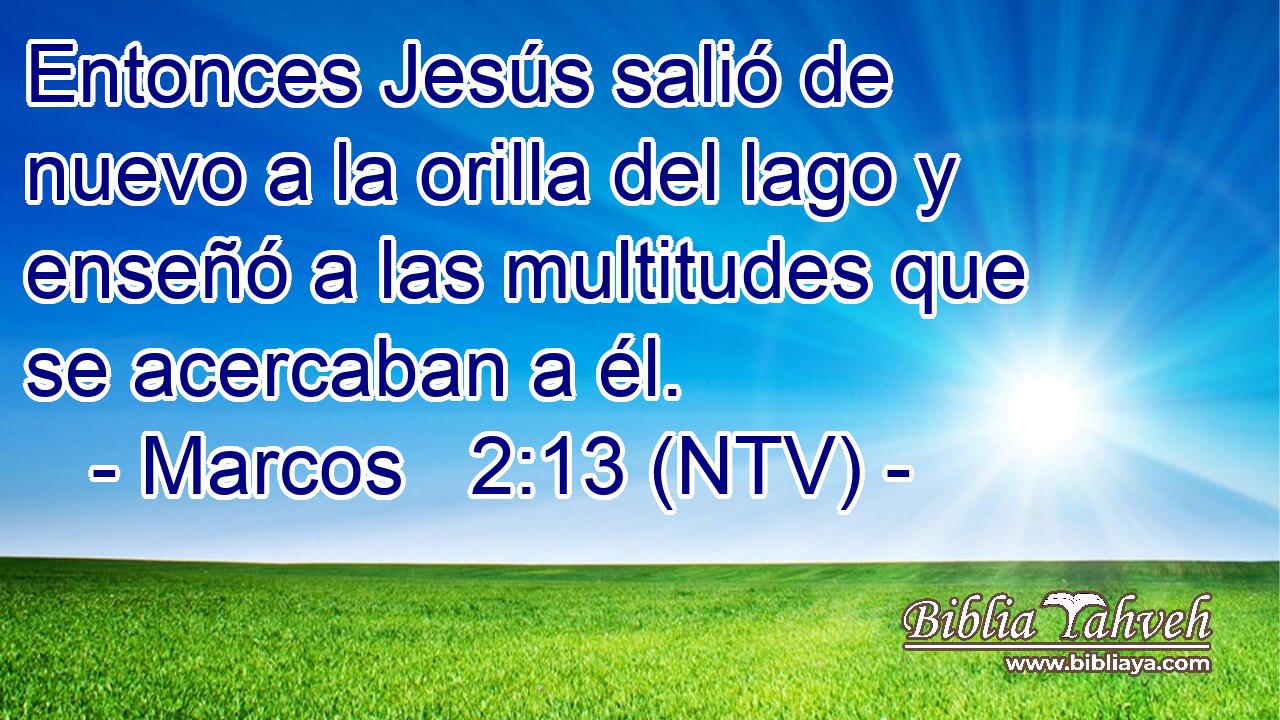Entonces Jesús salió de nuevo a la orilla del lago y enseñó a las multitudes que se acercaban a él.