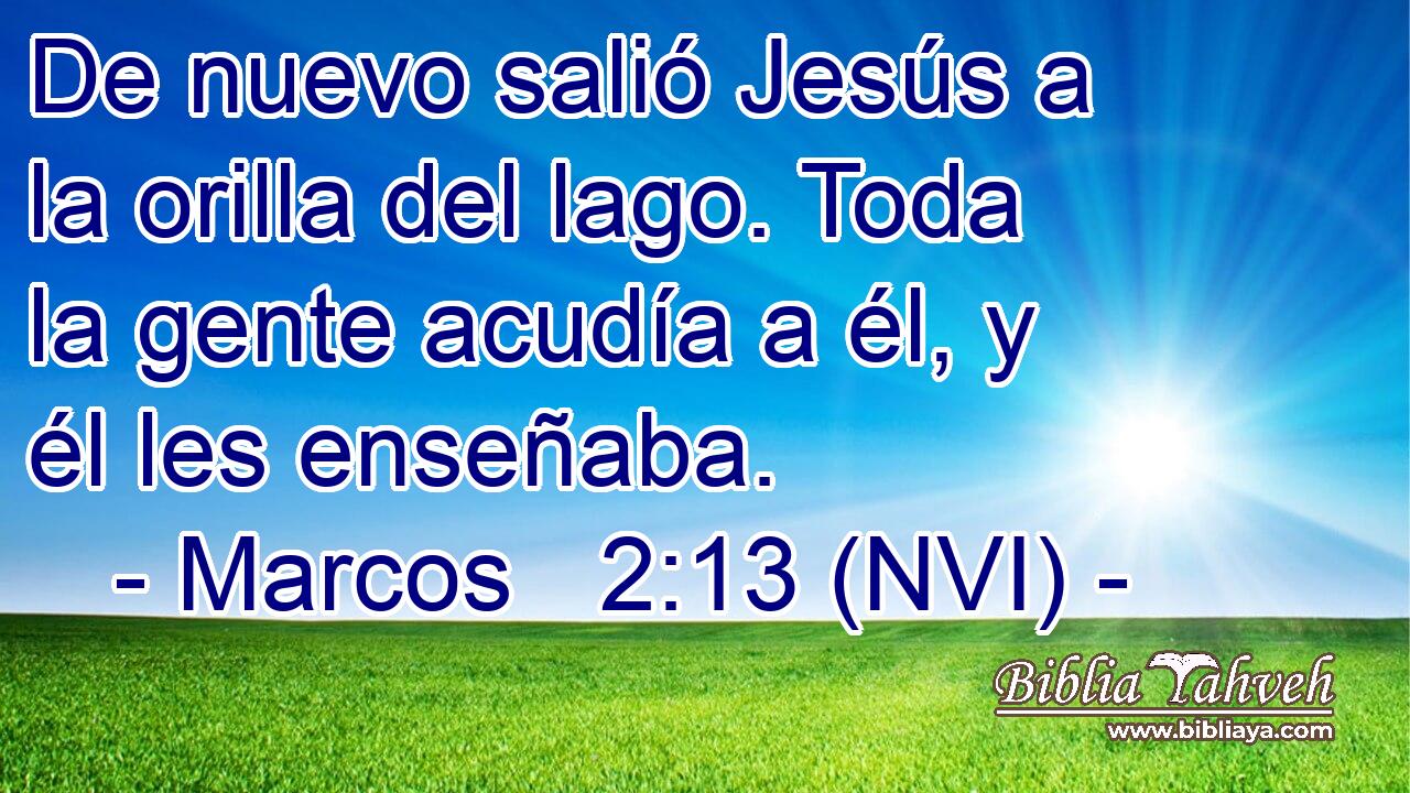  De nuevo salió Jesús a la orilla del lago. Toda la gente acudía a él, y él les enseñaba. 