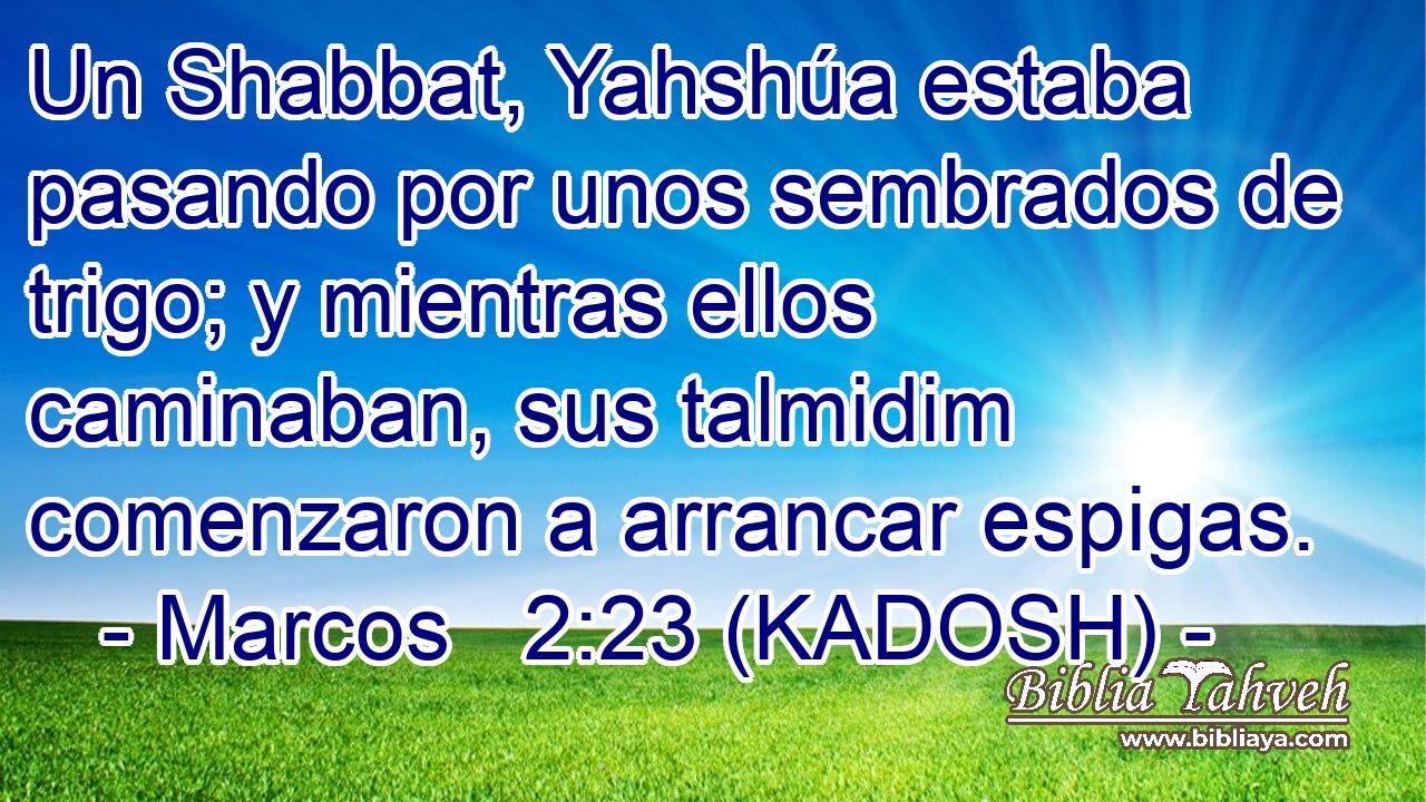  Un Shabbat, Yahshúa estaba pasando por unos sembrados de trigo; y mientras ellos caminaban, sus talmidim comenzaron a arrancar espigas. 