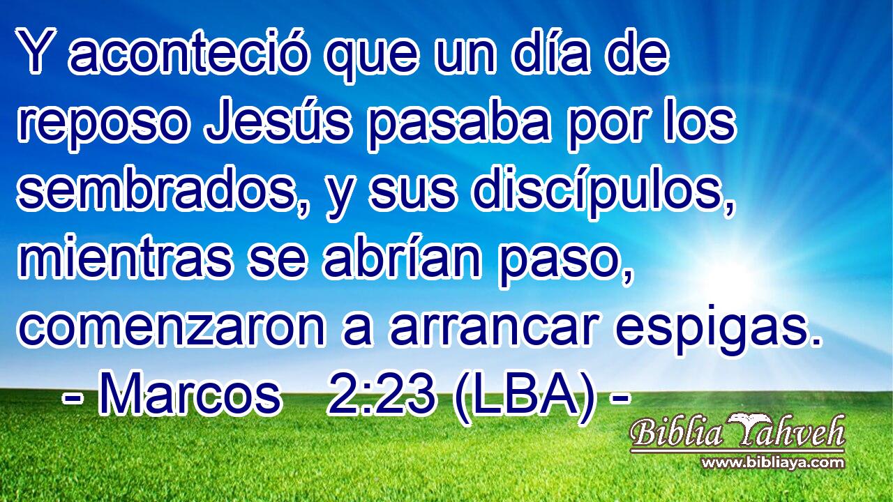 Y aconteció que un día de reposo Jesús pasaba por los sembrados, y sus discípulos, mientras se abrían paso, comenzaron a arrancar espigas.