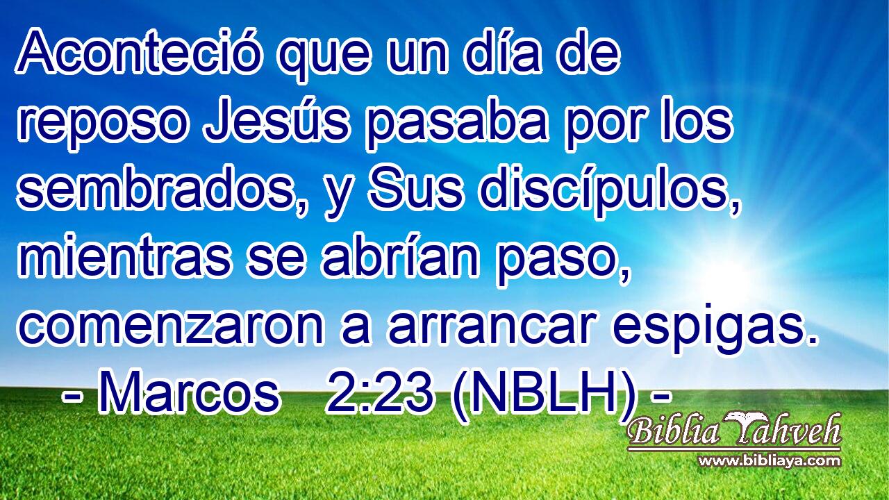  Aconteció que un día de reposo Jesús pasaba por los sembrados, y Sus discípulos, mientras se abrían paso, comenzaron a arrancar espigas. 