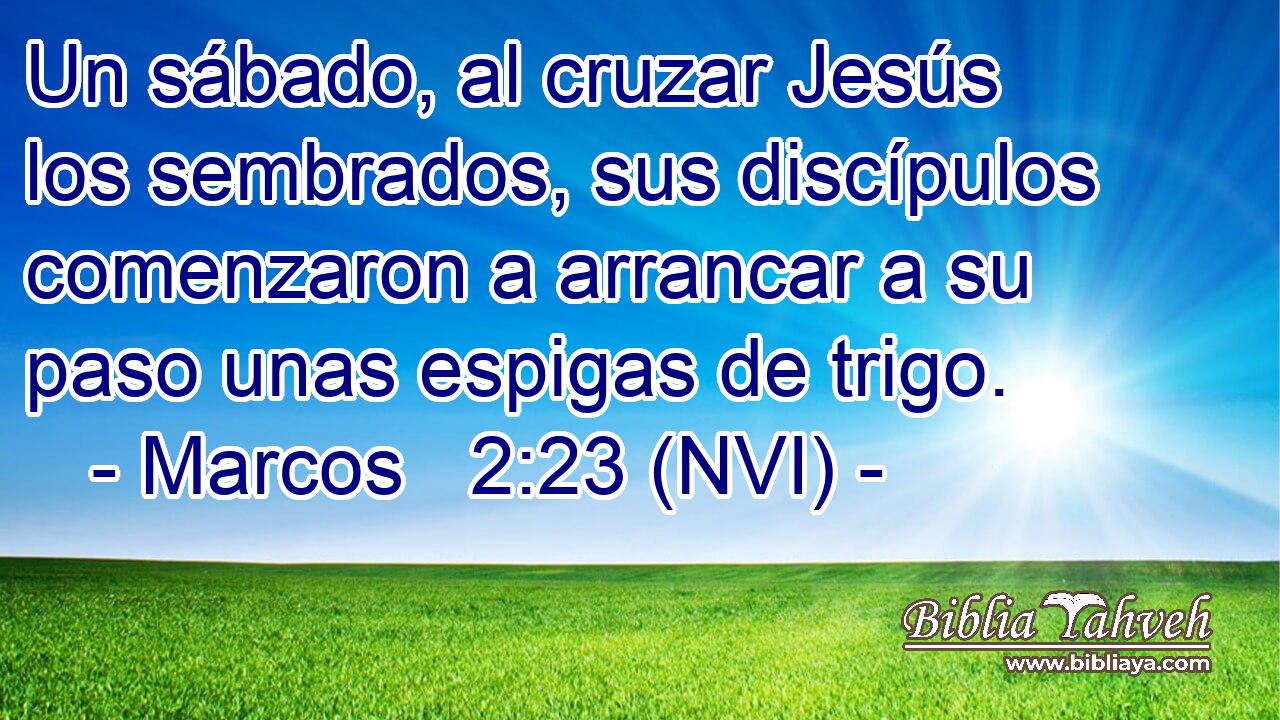  Un sábado, al cruzar Jesús los sembrados, sus discípulos comenzaron a arrancar a su paso unas espigas de trigo. 