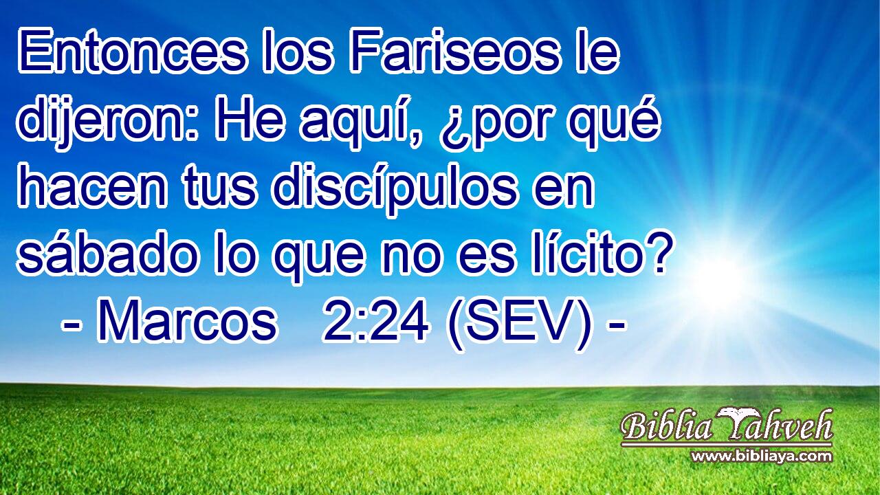 Entonces los Fariseos le dijeron: He aquí, ¿por qué hacen tus discípulos en sábado lo que no es lícito?