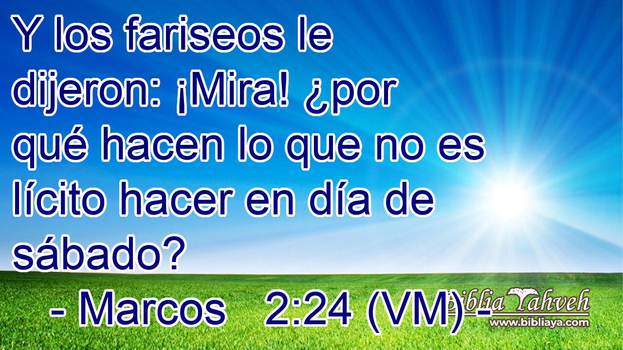  Y los fariseos le dijeron: ¡Mira! ¿por qué hacen lo que no es lícito hacer en día de sábado? 