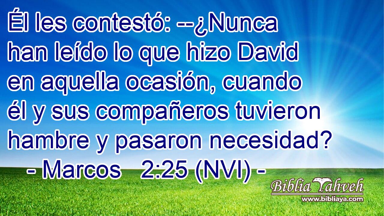  Él les contestó: --¿Nunca han leído lo que hizo David en aquella ocasión, cuando él y sus compañeros tuvieron hambre y pasaron necesidad? 