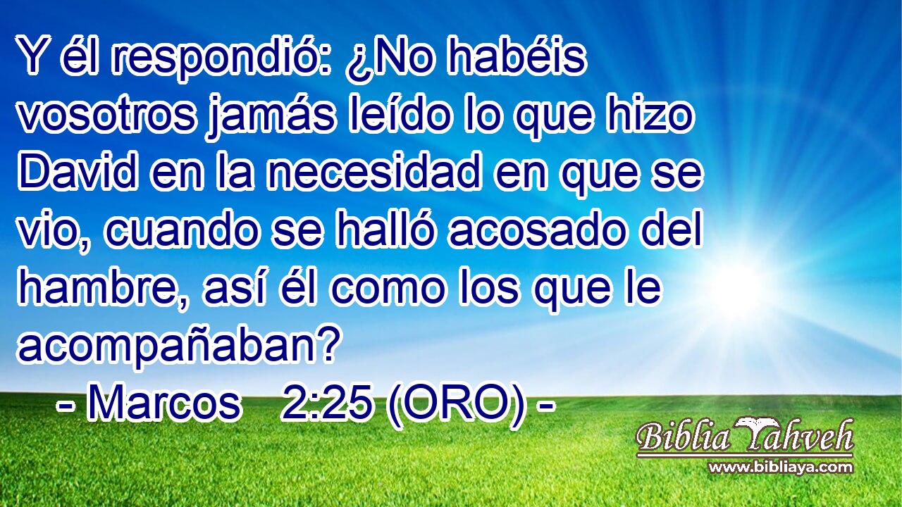  Y él respondió: ¿No habéis vosotros jamás leído lo que hizo David en la necesidad en que se vio, cuando se halló acosado del hambre, así él como los que le acompañaban? 