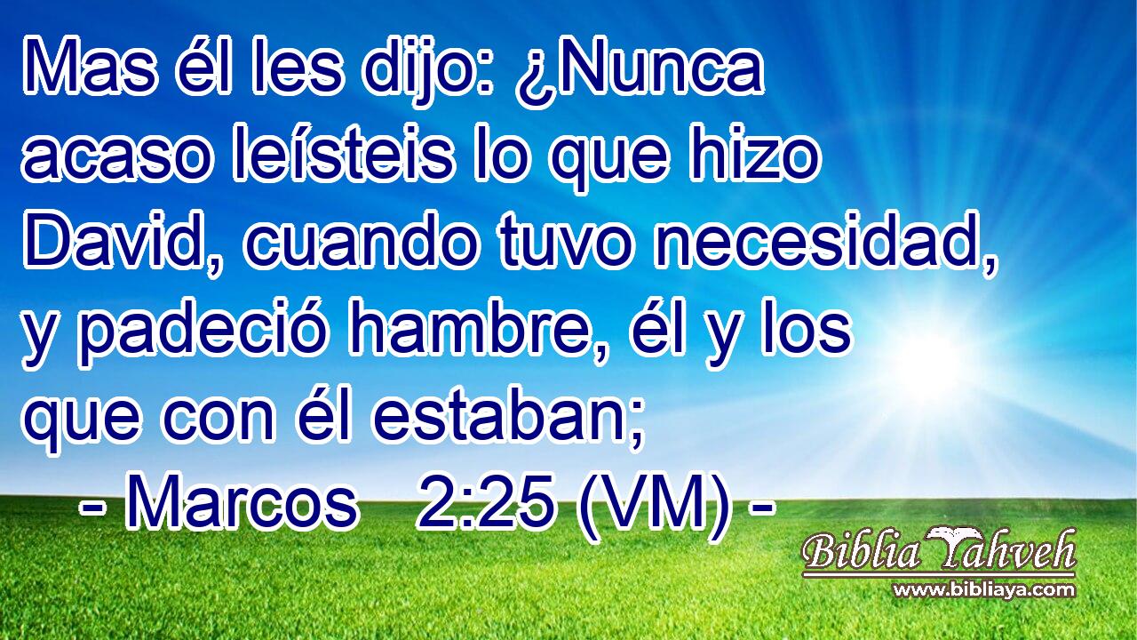  Mas él les dijo: ¿Nunca acaso leísteis lo que hizo David, cuando tuvo necesidad, y padeció hambre, él y los que con él estaban; 