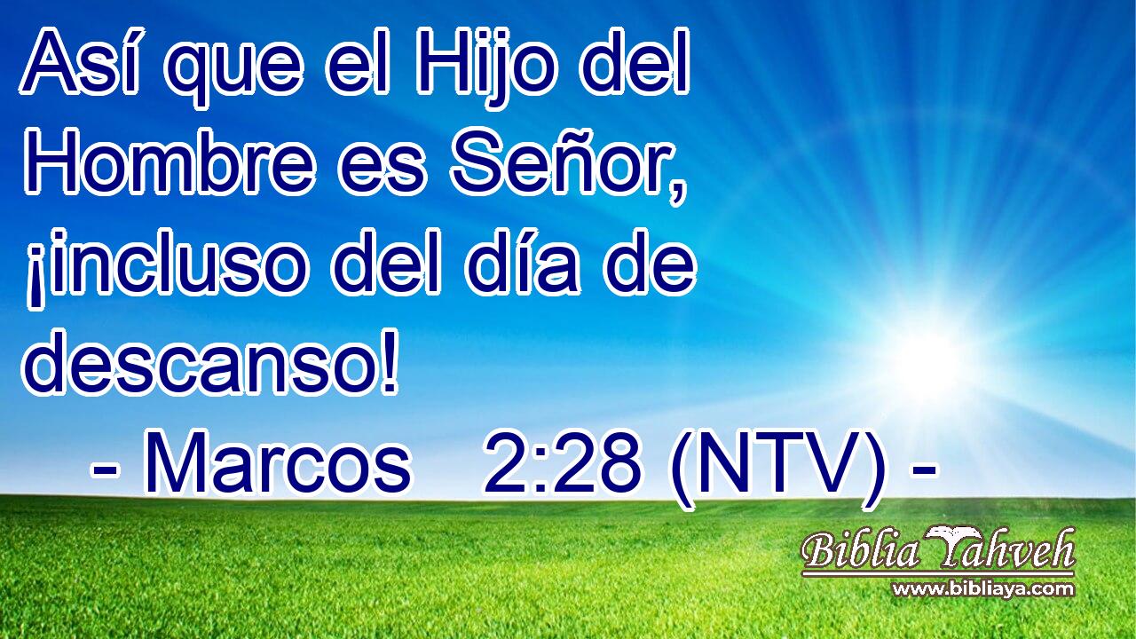 Así que el Hijo del Hombre es Señor, ¡incluso del día de descanso!