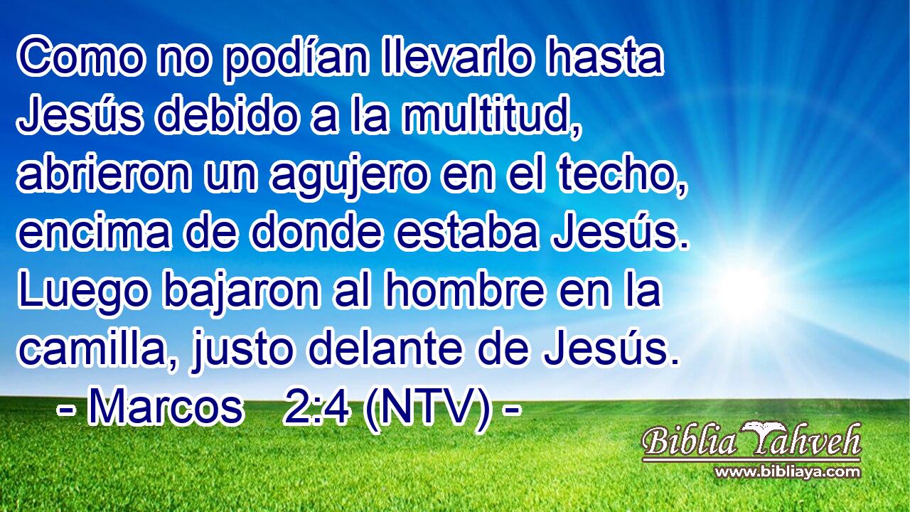 Como no podían llevarlo hasta Jesús debido a la multitud, abrieron un agujero en el techo, encima de donde estaba Jesús. Luego bajaron al hombre en la camilla, justo delante de Jesús.