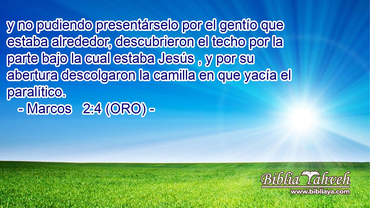  y no pudiendo presentárselo por el gentío que estaba alrededor, descubrieron el techo por la parte bajo la cual estaba Jesús , y por su abertura descolgaron la camilla en que yacía el paralítico. 