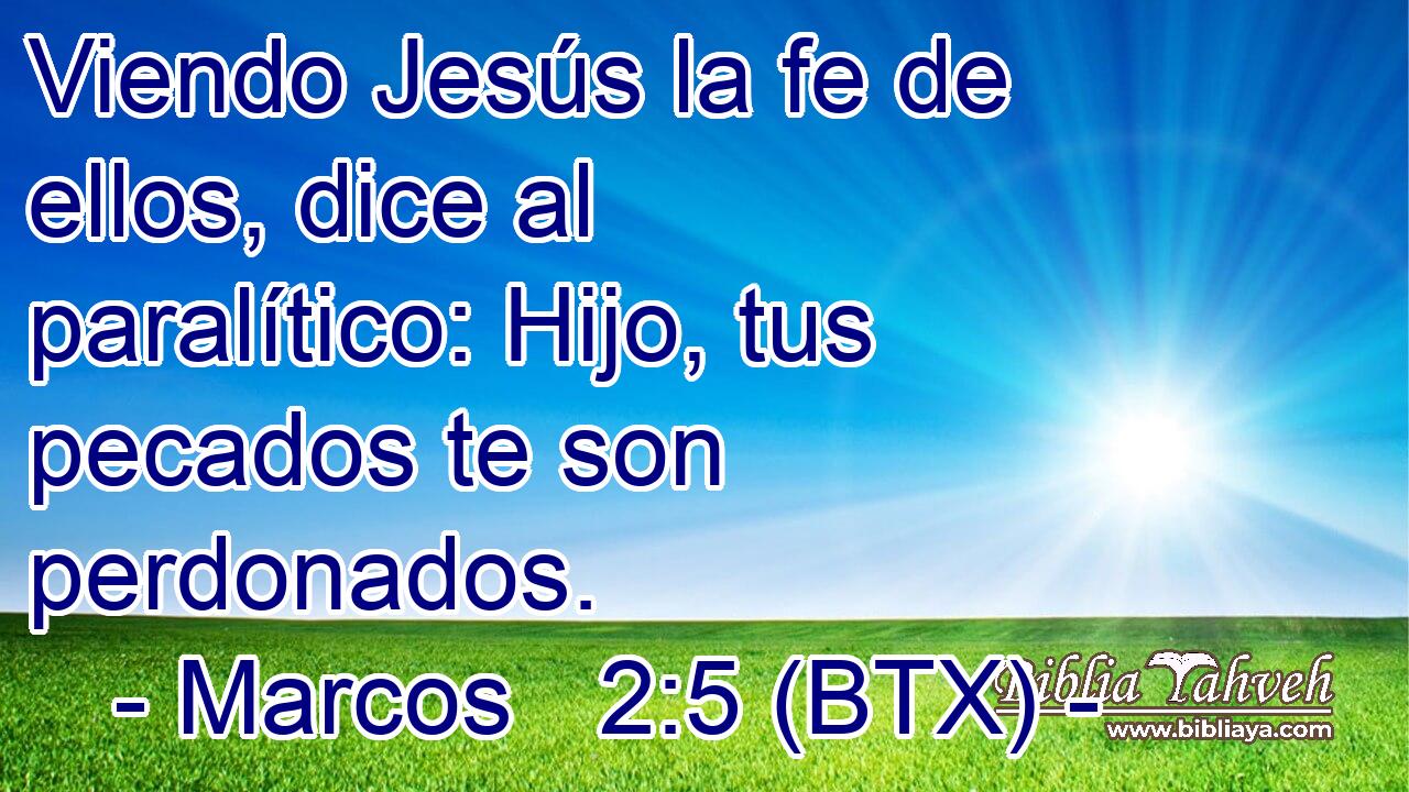 Viendo Jesús la fe de ellos, dice al paralítico: Hijo, tus pecados te son perdonados.