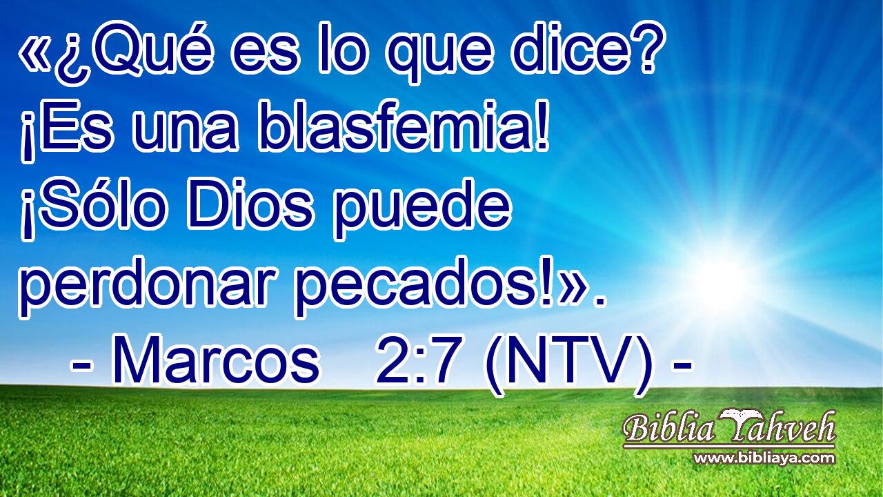 «¿Qué es lo que dice? ¡Es una blasfemia! ¡Sólo Dios puede perdonar pecados!».
