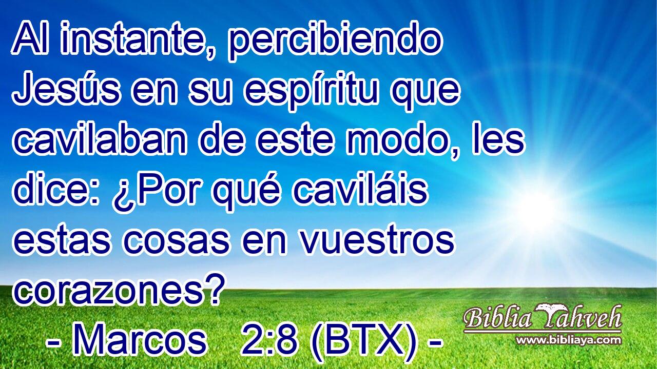 Al instante, percibiendo Jesús en su espíritu que cavilaban de este modo, les dice: ¿Por qué caviláis estas cosas en vuestros corazones?