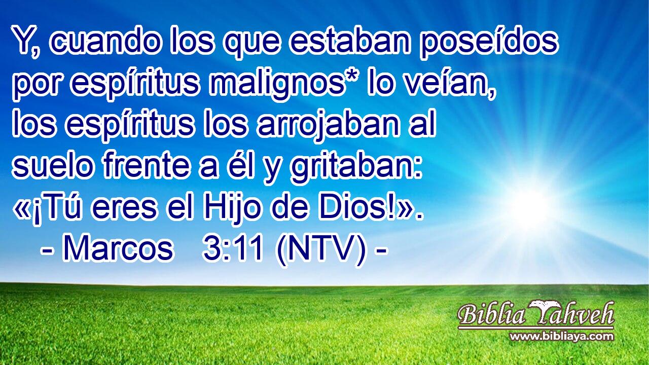 Y, cuando los que estaban poseídos por espíritus malignos* lo veían, los espíritus los arrojaban al suelo frente a él y gritaban: «¡Tú eres el Hijo de Dios!».