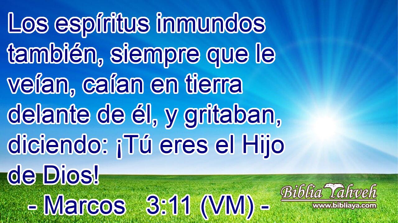  Los espíritus inmundos también, siempre que le veían, caían en tierra delante de él, y gritaban, diciendo: ¡Tú eres el Hijo de Dios! 