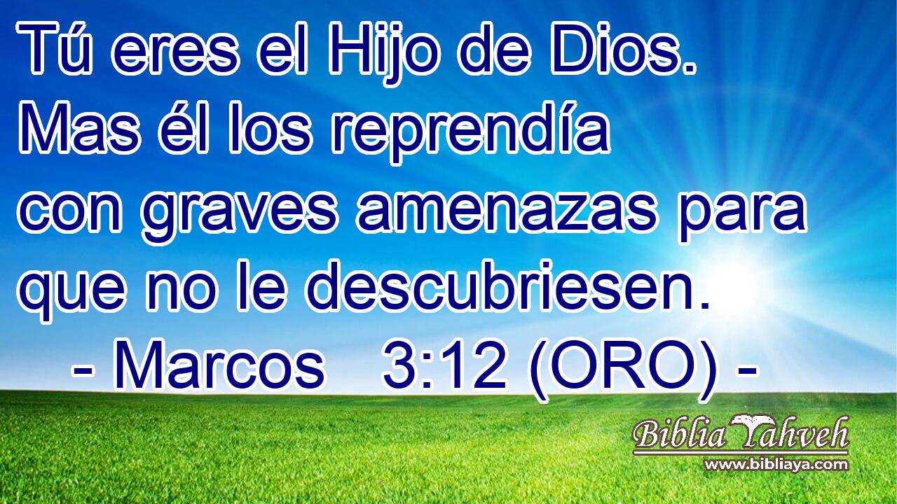  Tú eres el Hijo de Dios. Mas él los reprendía con graves amenazas para que no le descubriesen.