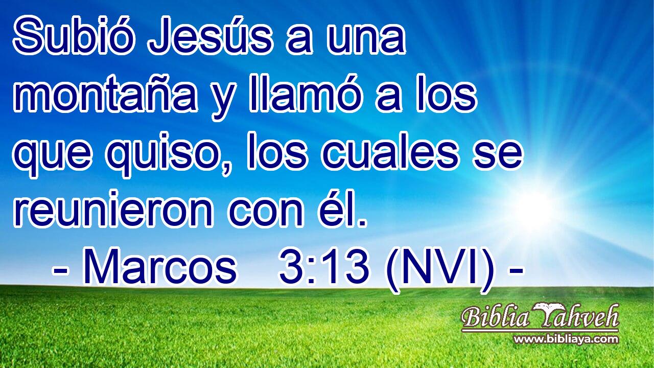  Subió Jesús a una montaña y llamó a los que quiso, los cuales se reunieron con él. 