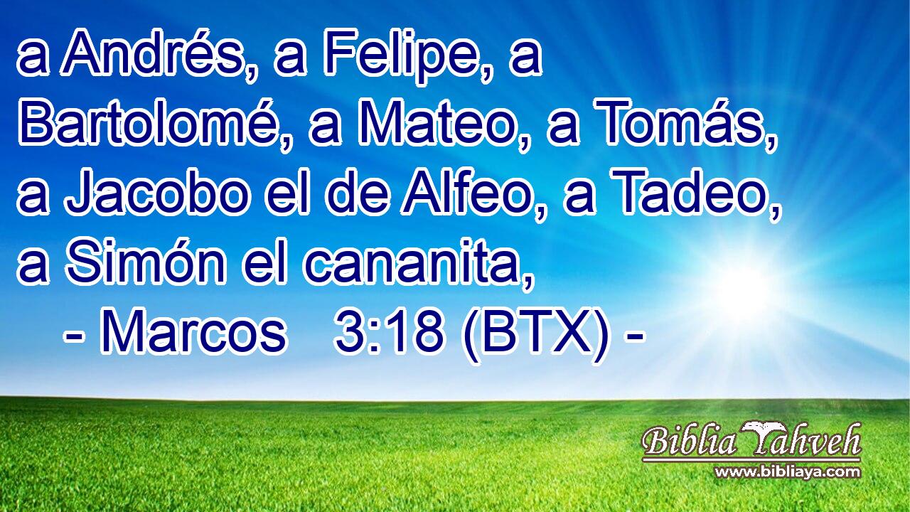 a Andrés, a Felipe, a Bartolomé, a Mateo, a Tomás, a Jacobo el de Alfeo, a Tadeo, a Simón el cananita,
