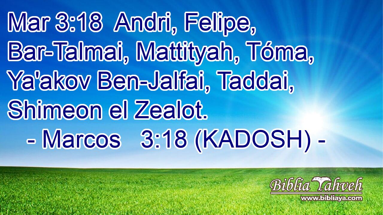  Andri, Felipe, Bar-Talmai, Mattityah, Tóma, Ya'akov Ben-Jalfai, Taddai, Shimeon el Zealot. 