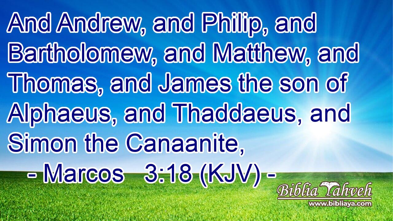 And Andrew, and Philip, and Bartholomew, and Matthew, and Thomas, and James the son of Alphaeus, and Thaddaeus, and Simon the Canaanite,