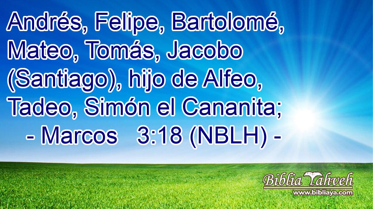  Andrés, Felipe, Bartolomé, Mateo, Tomás, Jacobo (Santiago), hijo de Alfeo, Tadeo, Simón el Cananita; 