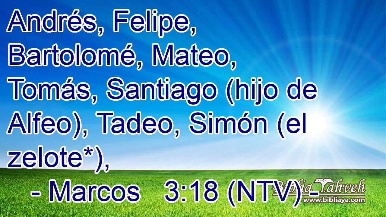 Andrés, Felipe, Bartolomé, Mateo, Tomás, Santiago (hijo de Alfeo), Tadeo, Simón (el zelote*),