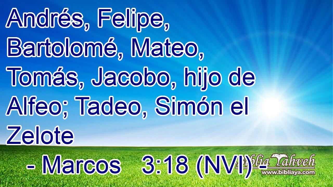  Andrés, Felipe, Bartolomé, Mateo, Tomás, Jacobo, hijo de Alfeo; Tadeo, Simón el Zelote 