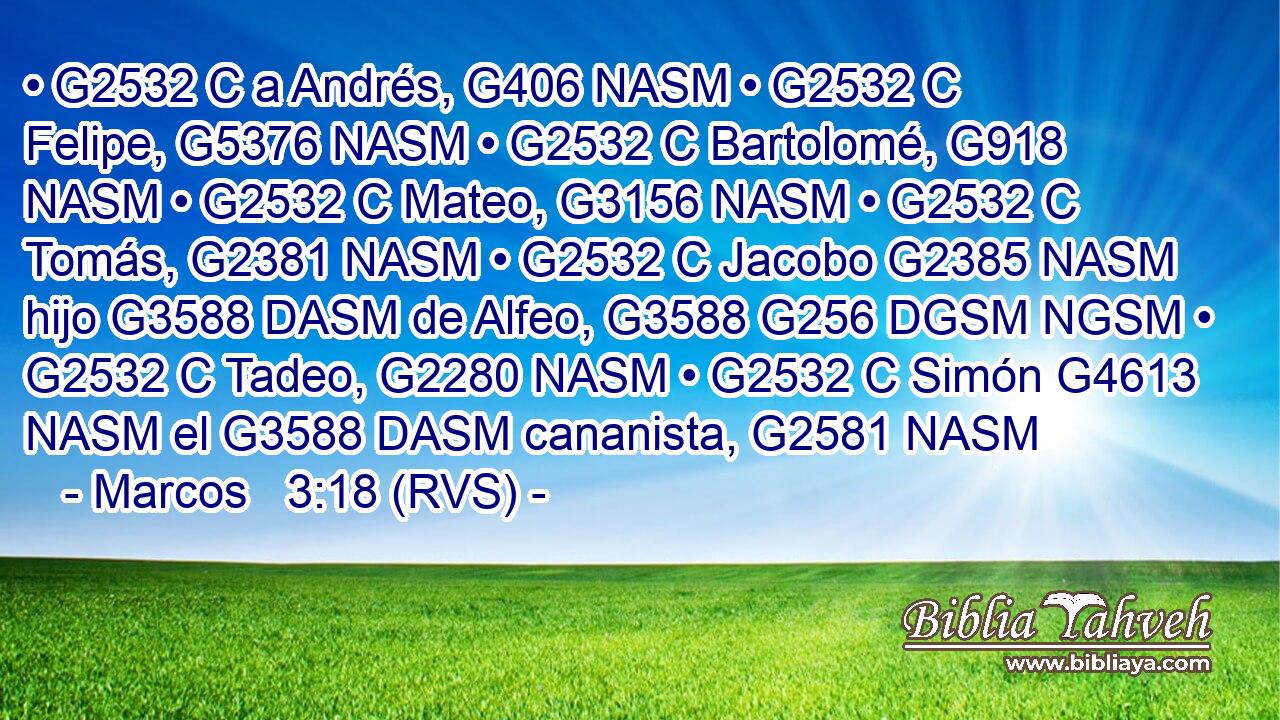 • G2532 C a Andrés, G406 NASM • G2532 C Felipe, G5376 NASM • G2532 C Bartolomé, G918 NASM • G2532 C Mateo, G3156 NASM • G2532 C Tomás, G2381 NASM • G2532 C Jacobo G2385 NASM hijo G3588 DASM de Alfeo, G3588 G256 DGSM NGSM • G2532 C Tadeo, G2280 NASM • G2532 C Simón G4613 NASM el G3588 DASM cananista, G2581 NASM 