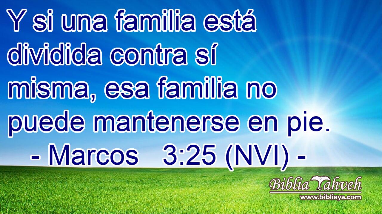  Y si una familia está dividida contra sí misma, esa familia no puede mantenerse en pie. 