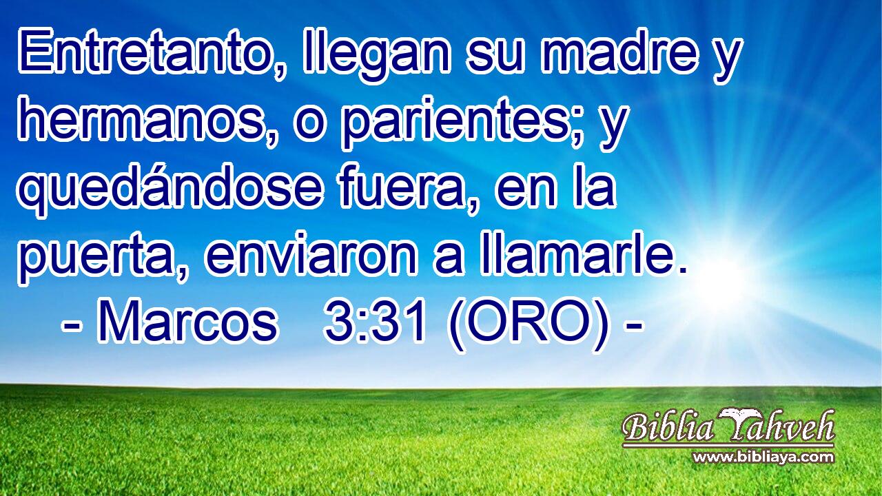  Entretanto, llegan su madre y hermanos, o parientes; y quedándose fuera, en la puerta, enviaron a llamarle. 