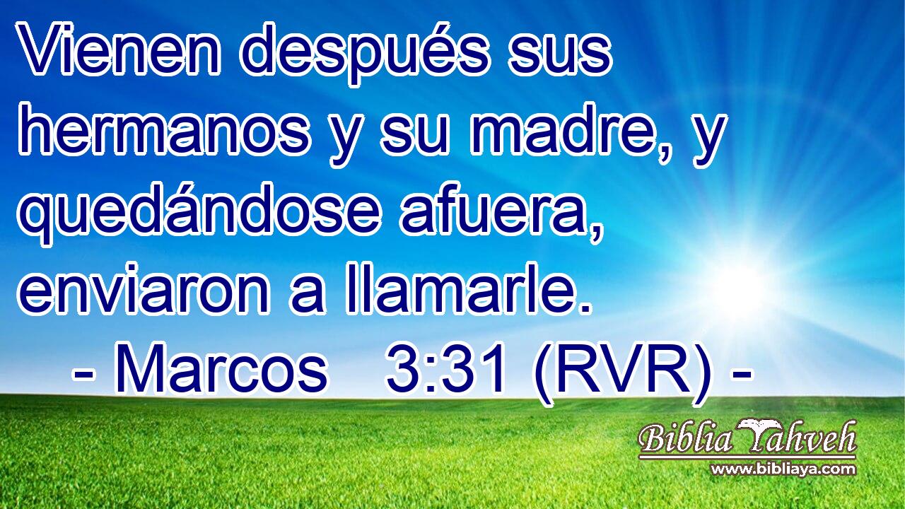 Vienen después sus hermanos y su madre, y quedándose afuera, enviaron a llamarle.