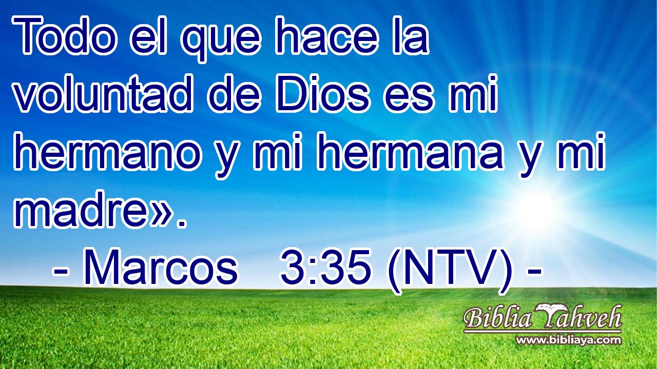 Todo el que hace la voluntad de Dios es mi hermano y mi hermana y mi madre».