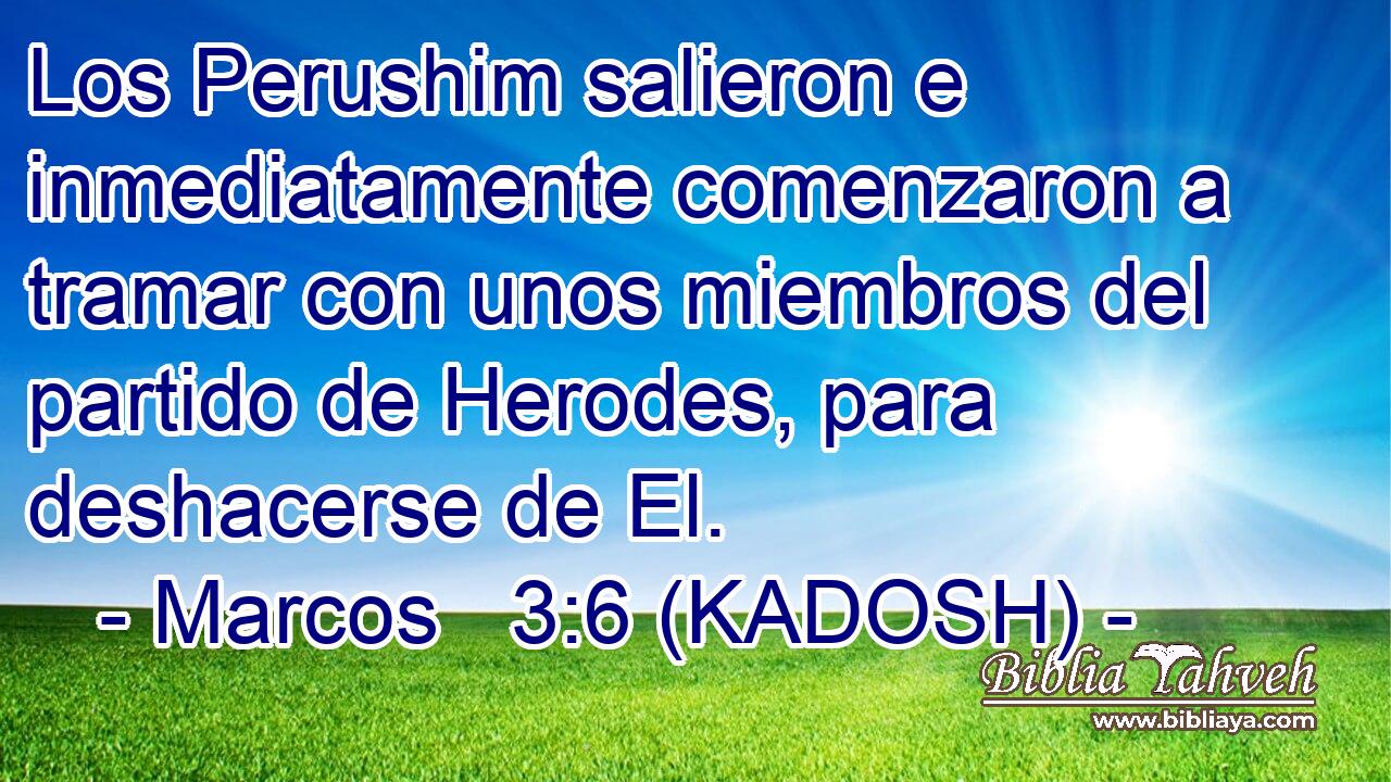  Los Perushim salieron e inmediatamente comenzaron a tramar con unos miembros del partido de Herodes, para deshacerse de El. 