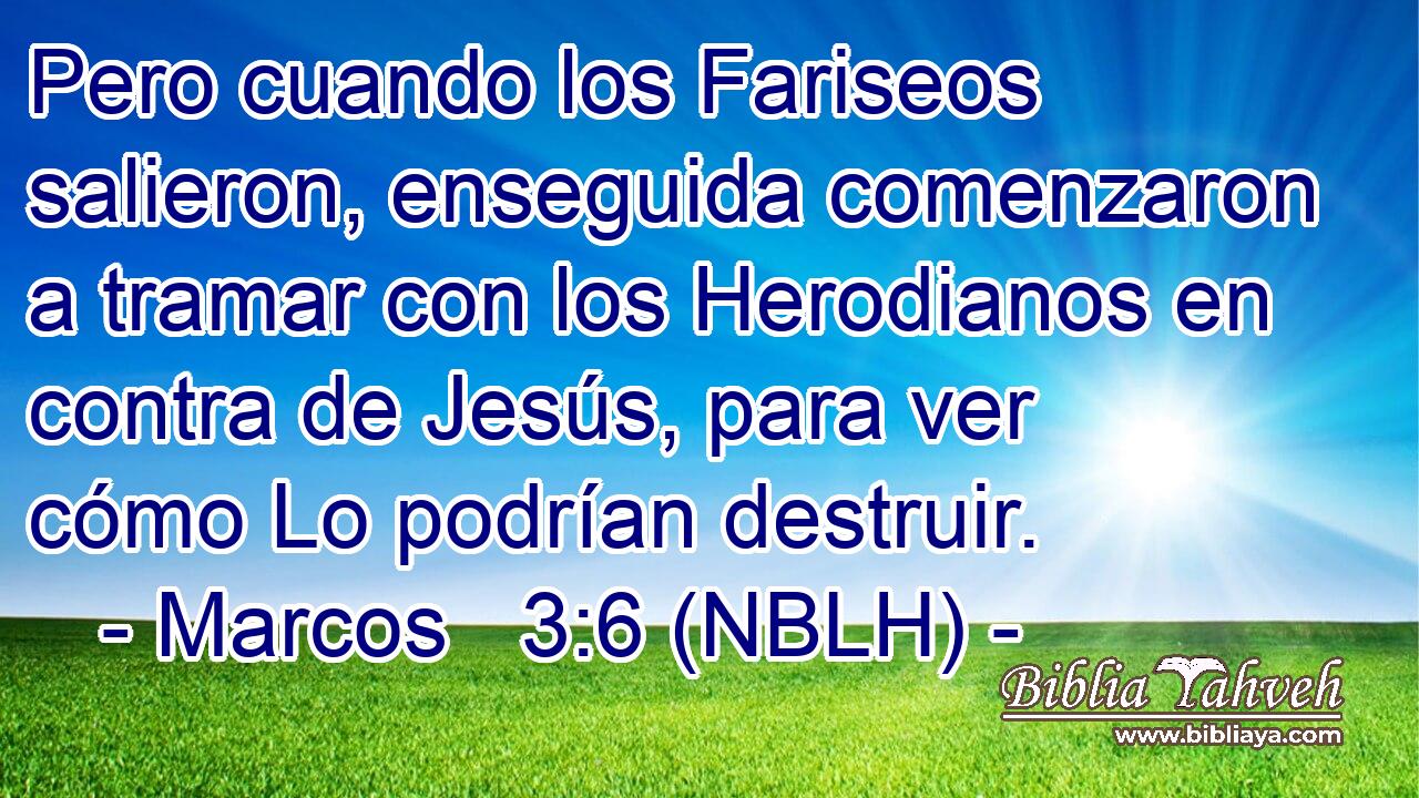  Pero cuando los Fariseos salieron, enseguida comenzaron a tramar con los Herodianos en contra de Jesús, para ver cómo Lo podrían destruir. 