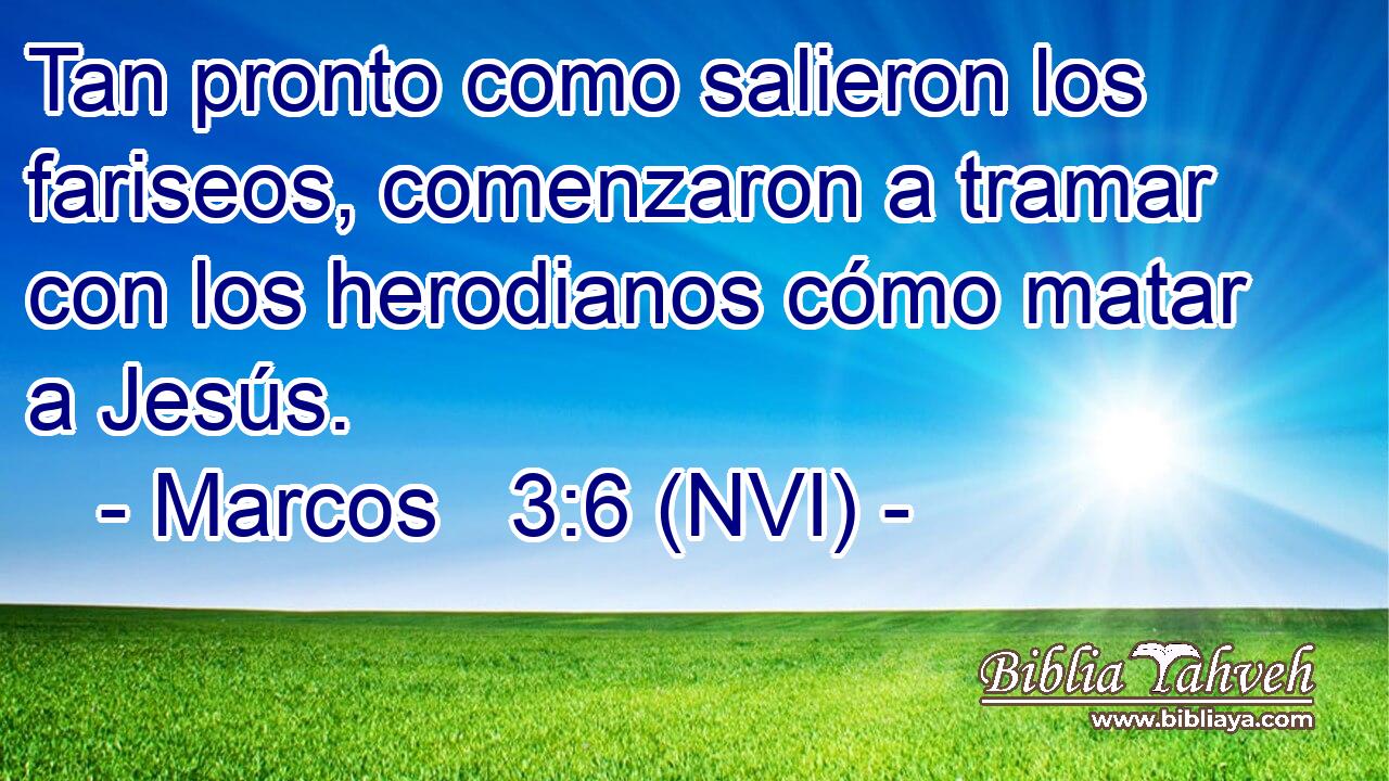  Tan pronto como salieron los fariseos, comenzaron a tramar con los herodianos cómo matar a Jesús. 