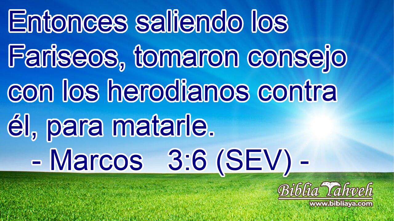 Entonces saliendo los Fariseos, tomaron consejo con los herodianos contra él, para matarle.