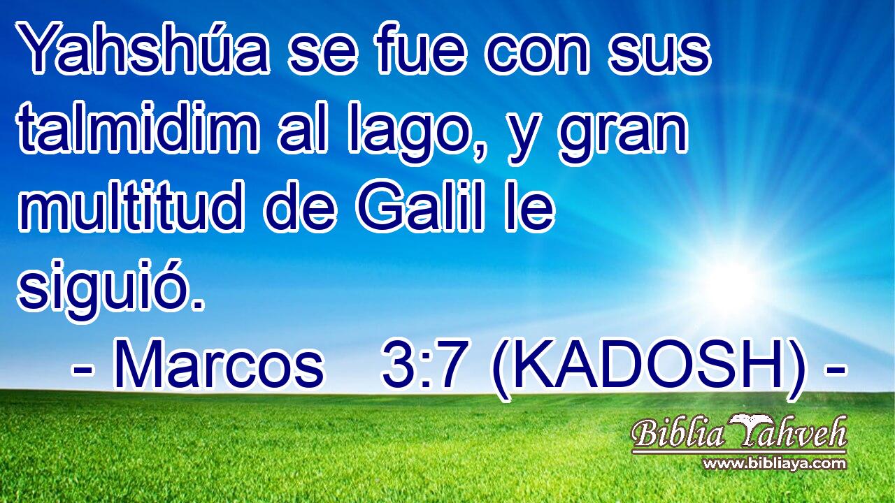  Yahshúa se fue con sus talmidim al lago, y gran multitud de Galil le siguió. 