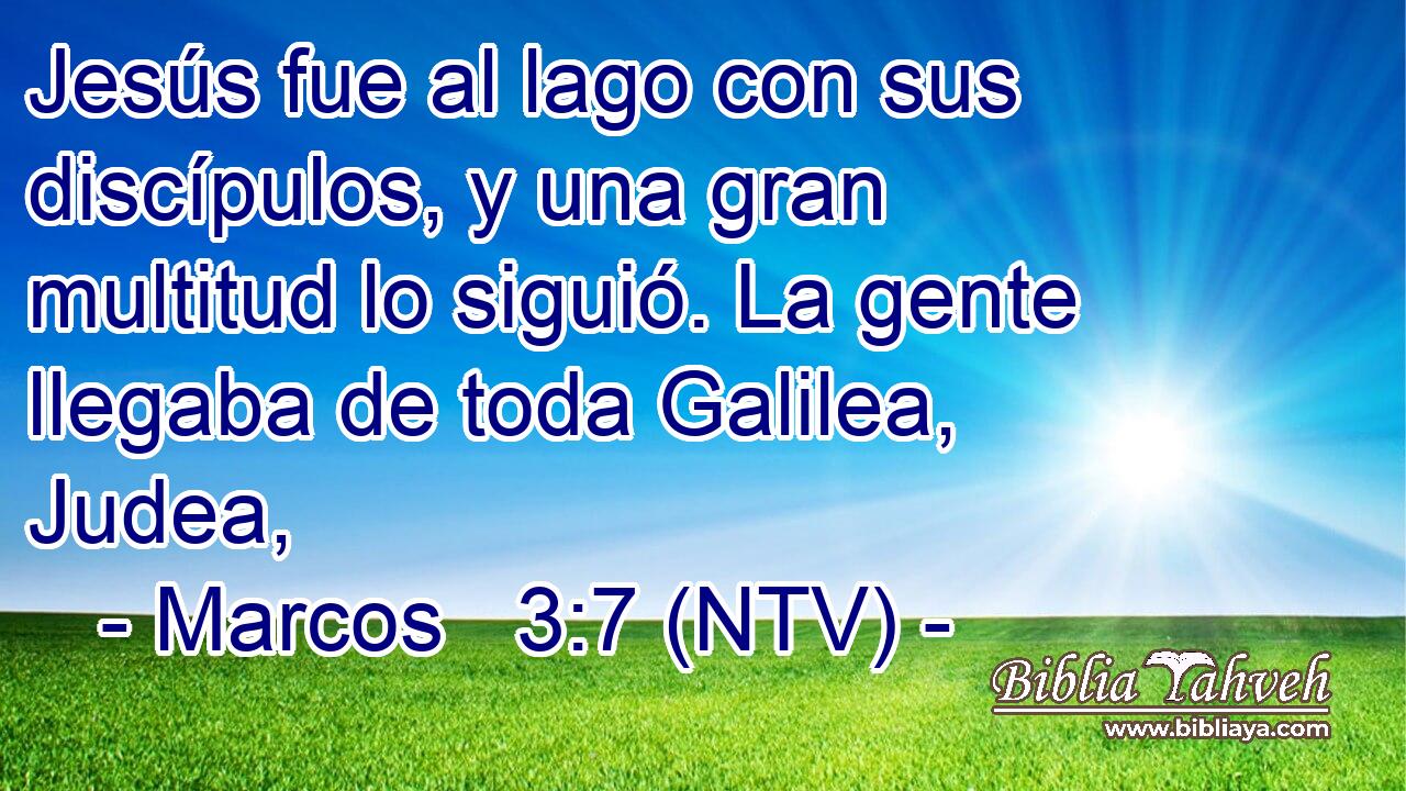 Jesús fue al lago con sus discípulos, y una gran multitud lo siguió. La gente llegaba de toda Galilea, Judea,
