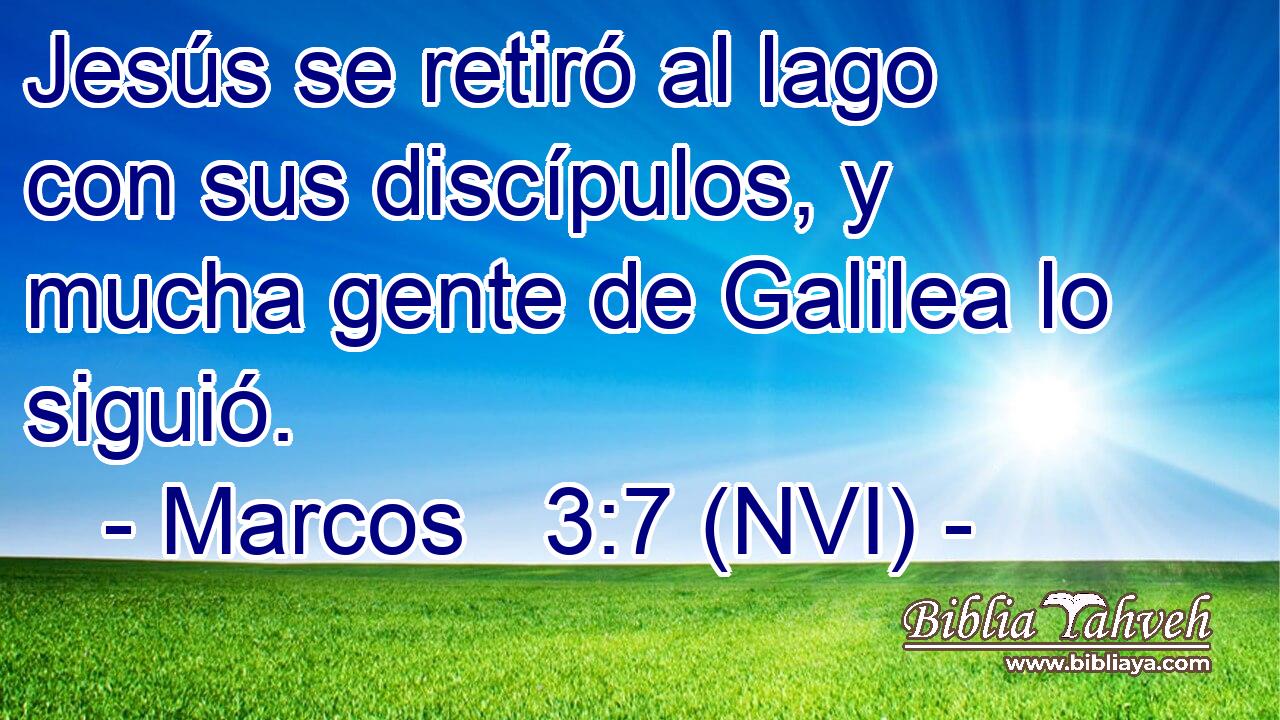  Jesús se retiró al lago con sus discípulos, y mucha gente de Galilea lo siguió. 