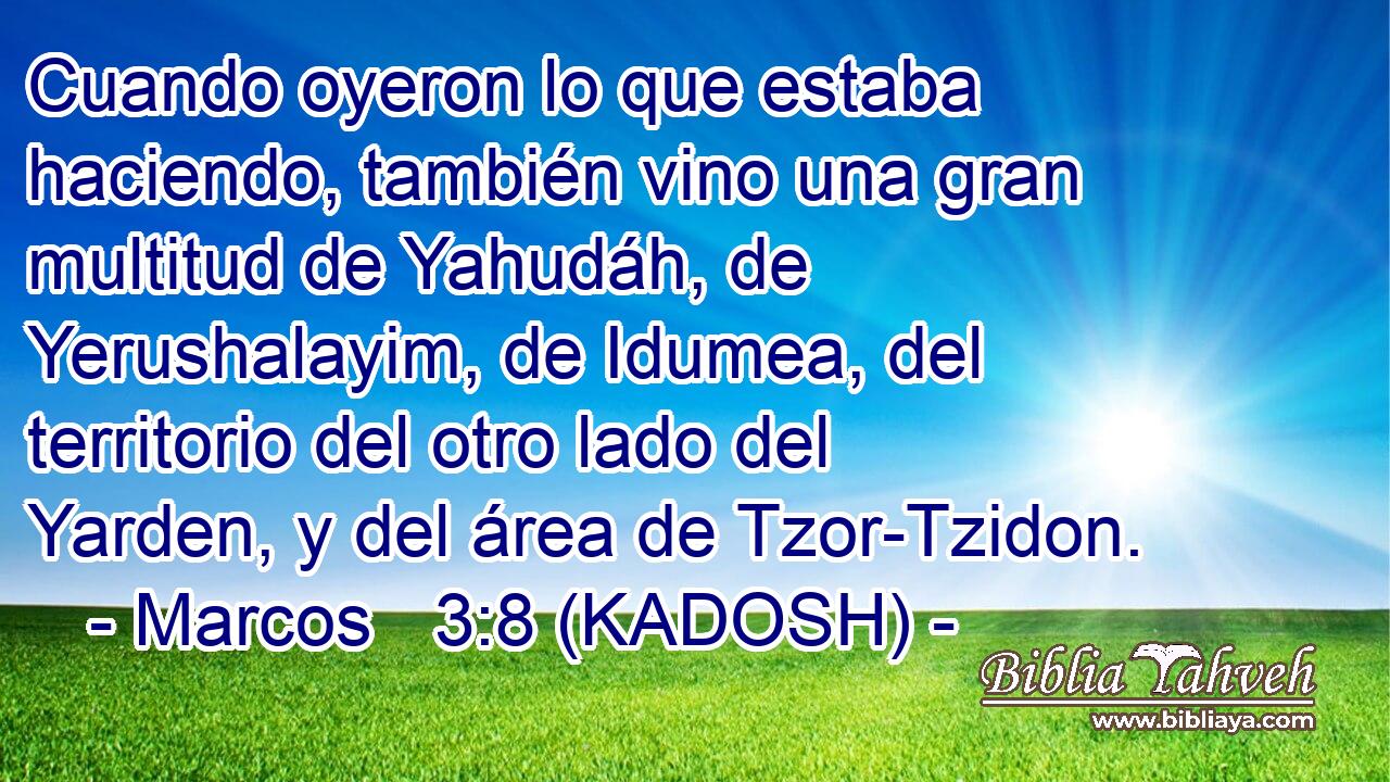  Cuando oyeron lo que estaba haciendo, también vino una gran multitud de Yahudáh, de Yerushalayim, de Idumea, del territorio del otro lado del Yarden, y del área de Tzor-Tzidon. 