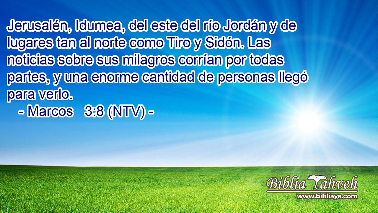 Jerusalén, Idumea, del este del río Jordán y de lugares tan al norte como Tiro y Sidón. Las noticias sobre sus milagros corrían por todas partes, y una enorme cantidad de personas llegó para verlo.