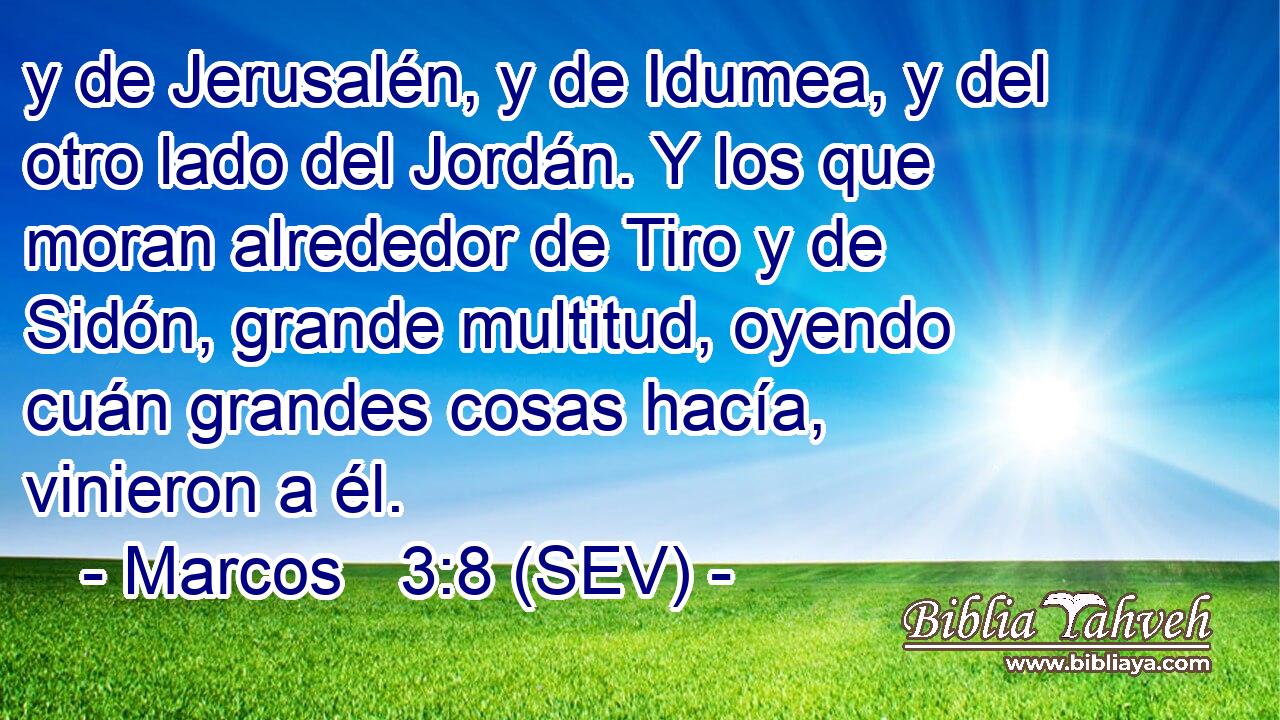 y de Jerusalén, y de Idumea, y del otro lado del Jordán. Y los que moran alrededor de Tiro y de Sidón, grande multitud, oyendo cuán grandes cosas hacía, vinieron a él.