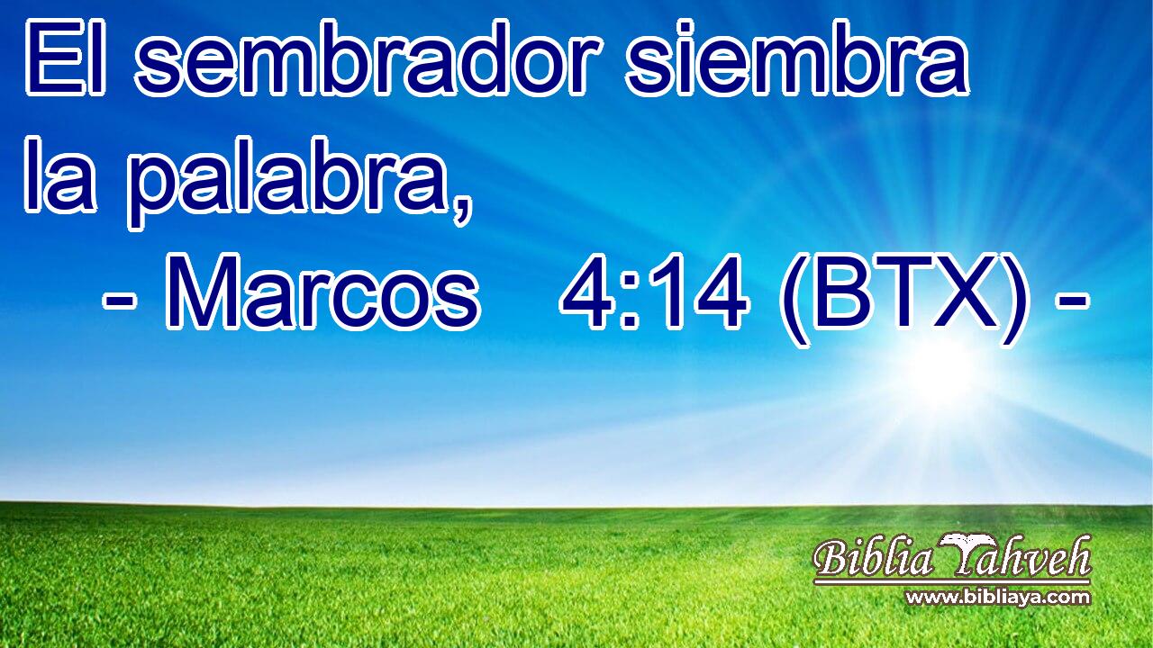 El sembrador siembra la palabra,
